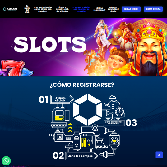 pagina web de databet hecha por synetxis