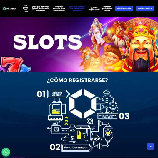 pagina web de databet hecha por synetxis